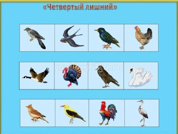 Найди признаки весны задания для детей