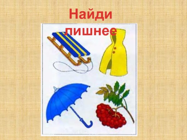 Дидактическая игра что лишнее