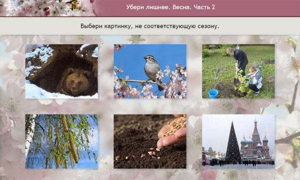 Дикие животные для детского сада