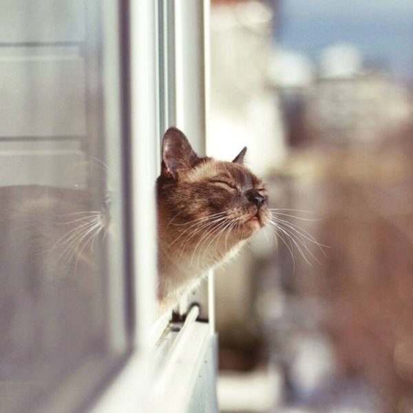 Утро пахнет весной