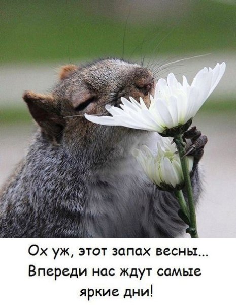 Чувствуете запах весны