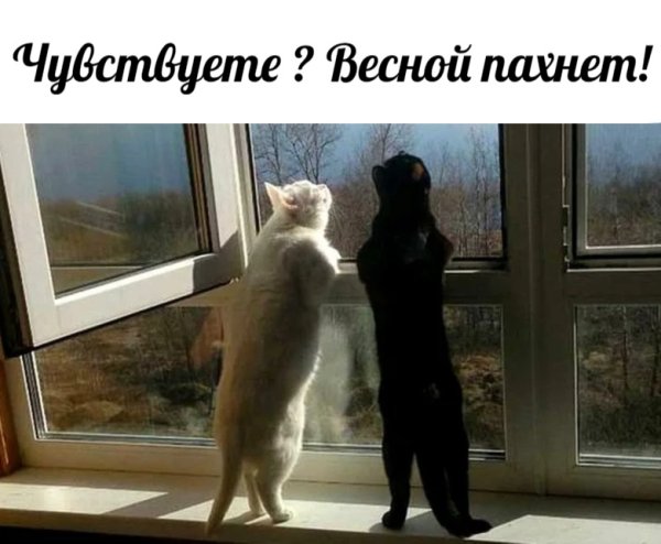 Чуете весной пахнет