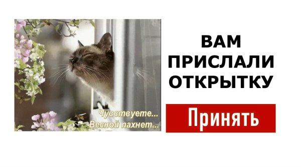 Чую чую весной пахнет