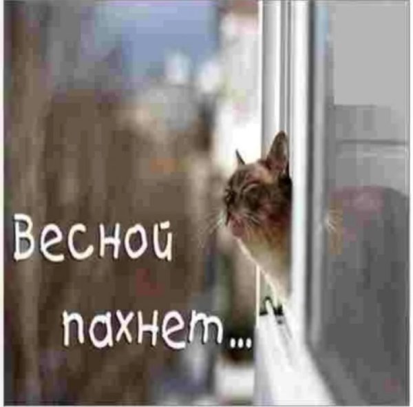 Запахло весной