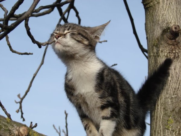 Аромат весны стихи