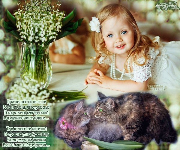 Кот нюхает весну