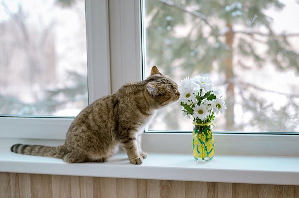 Запахло весной