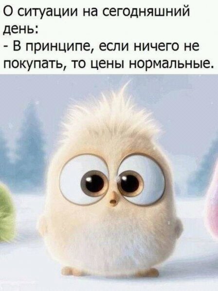 Котик с цветами
