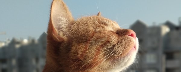 Открытки пахнет весной