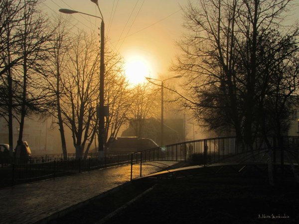 Солнечная ранняя Весна в городе