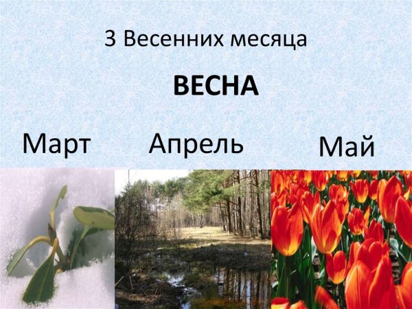 Три месяца весны
