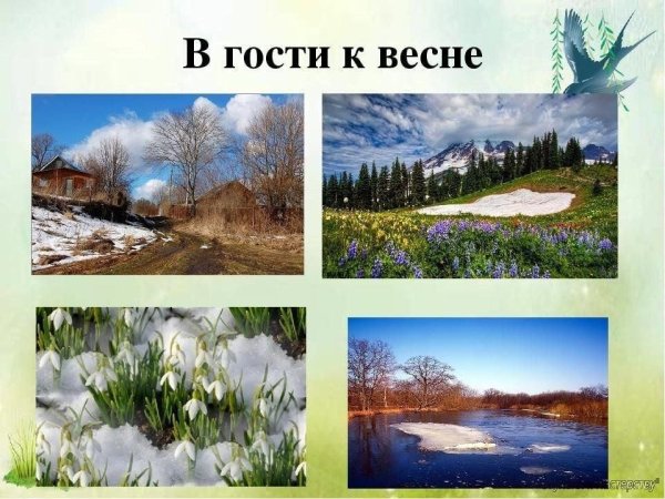 В гости к весне