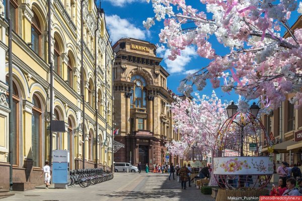 Яркое солнце весной