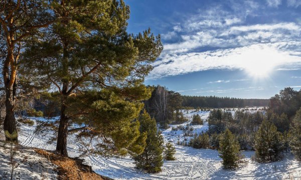 Сосновый Бор зима