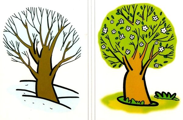 Летнее дерево для дошкольников