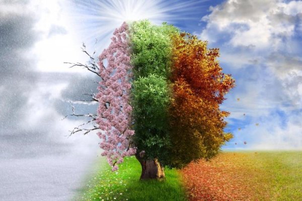 Весна зимой