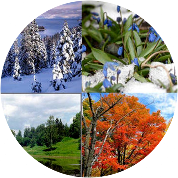 Пейзаж времена года для детей