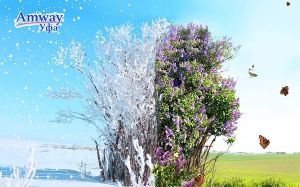 Сезонная одежда