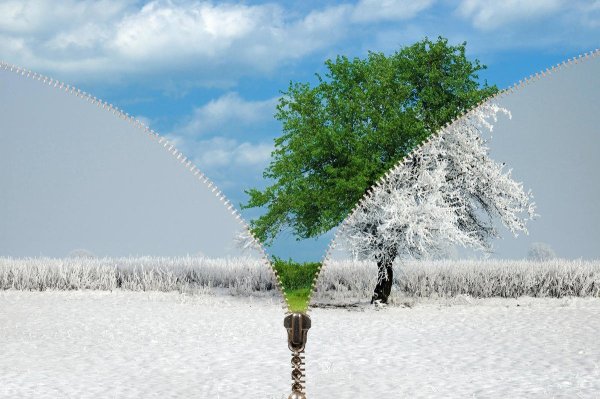 Лес в разные времена года