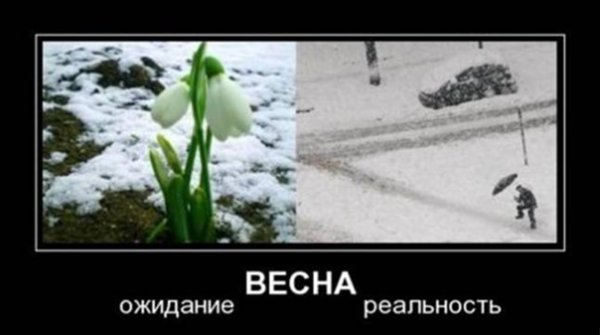 Весна ожидание реальность