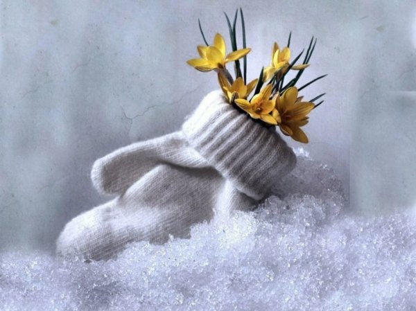 Скоро Весна девушка