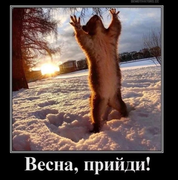 Опять пришла зима