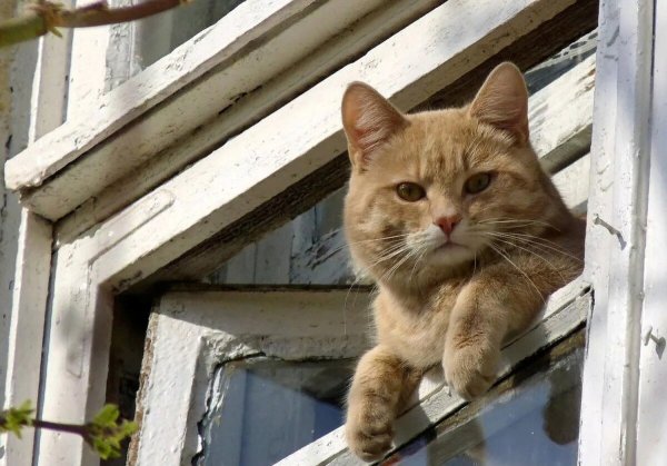 В предвкушении весны