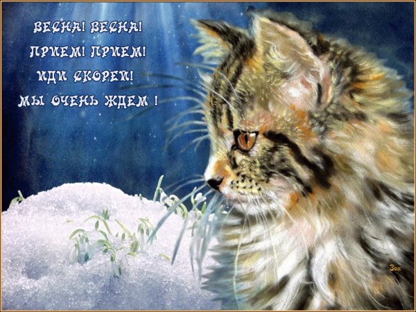 Весна со снегом прикольные