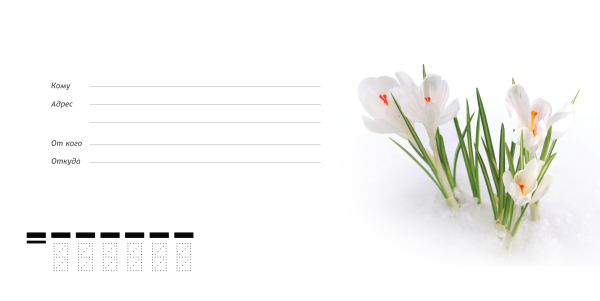 Подснежники в конверте