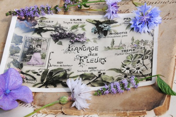 Цветочно-Весенняя тема в ретро стиле