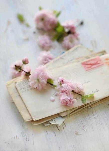 Письмо и цветы