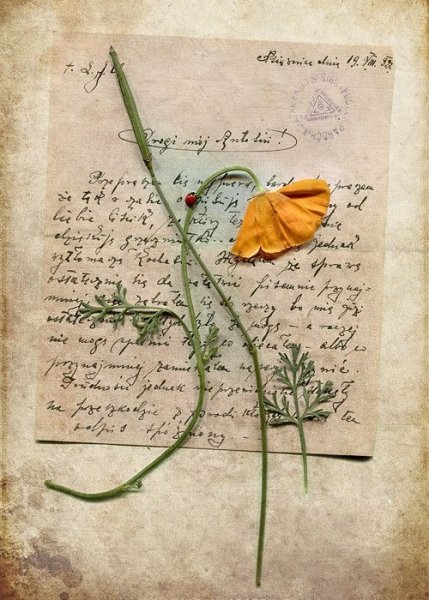 Старое письмо