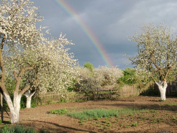 Радуга в мае