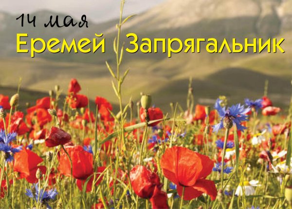 Девушки водят хоровод