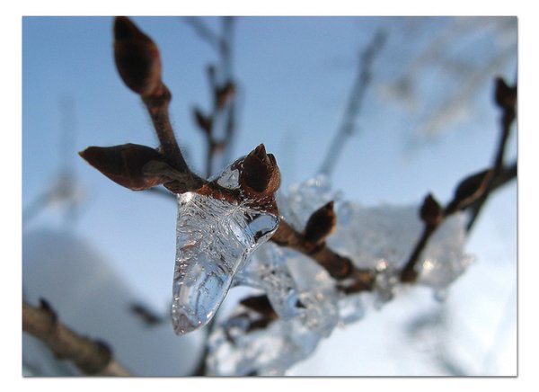 Пробуждение природы от зимы