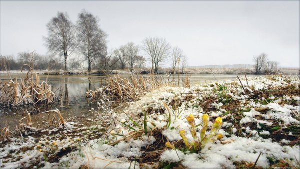 Апрель природа