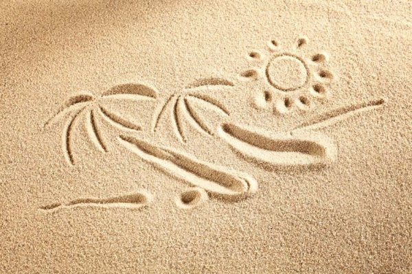 Растения растущие на песке