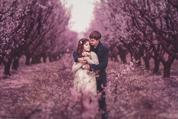 Влюбленные в Вишневом саду