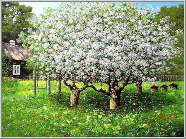 Китайская яблоня декоративная