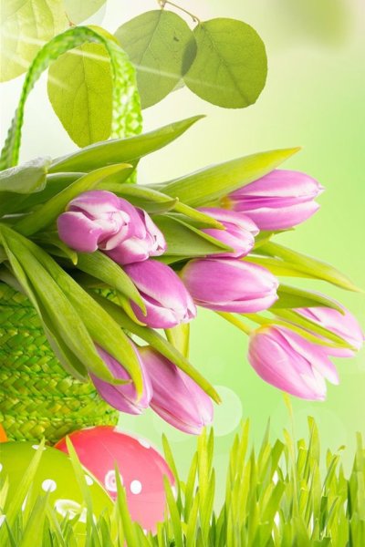 Весенний фон