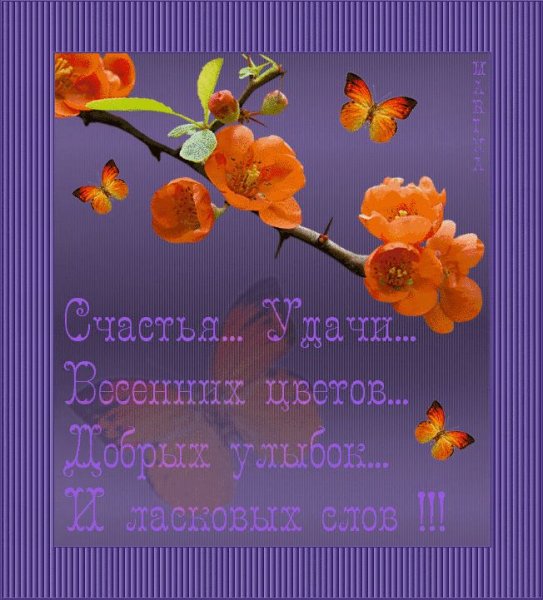 Прекрасного летнего утра удачи и