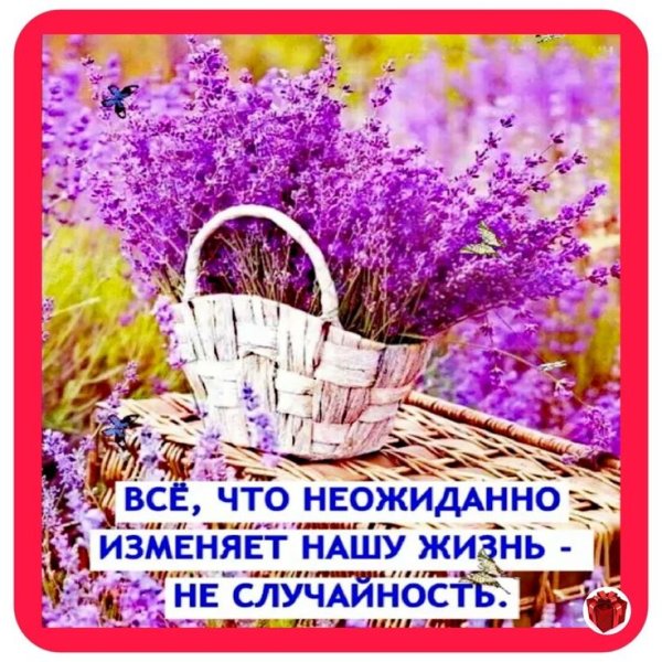 Доброго весеннего дня