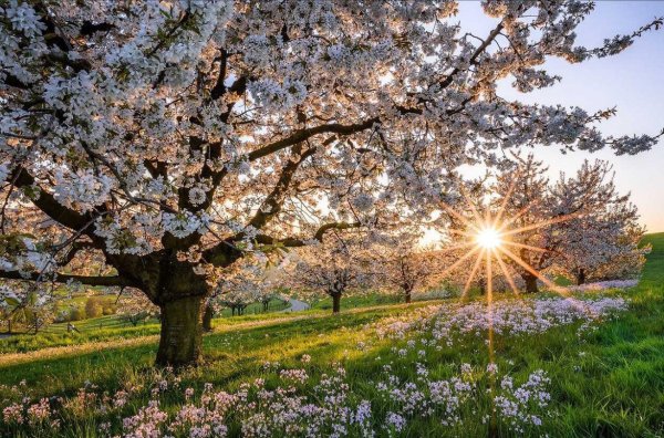 Встреча зимы и весны