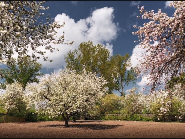 Весна прекрасная пора надпись