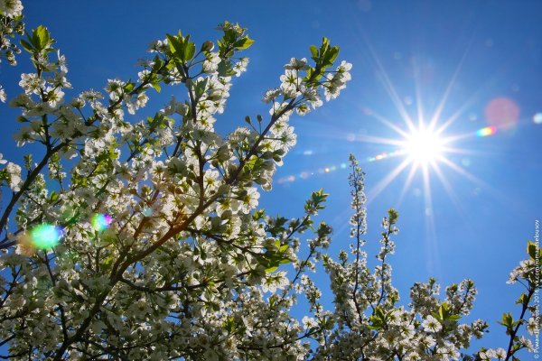 Весеннее солнце март-апрель