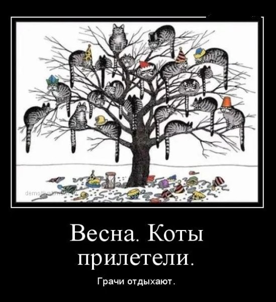 Скоро Весна коты прилетели