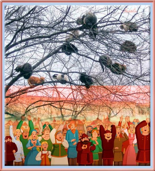 Весна коты на деревья прилетели