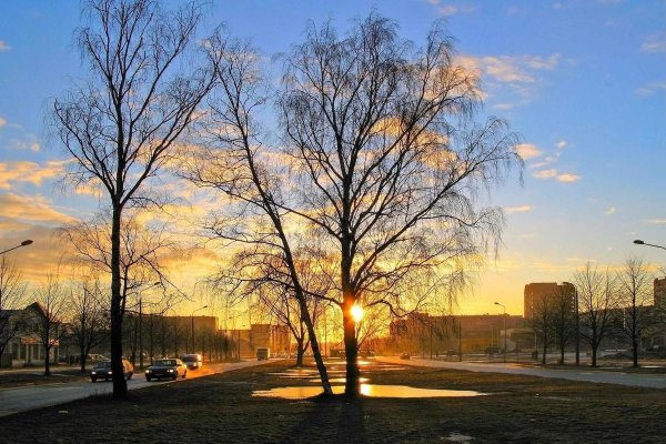 Теплая Весна