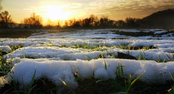 Солнечная Весна