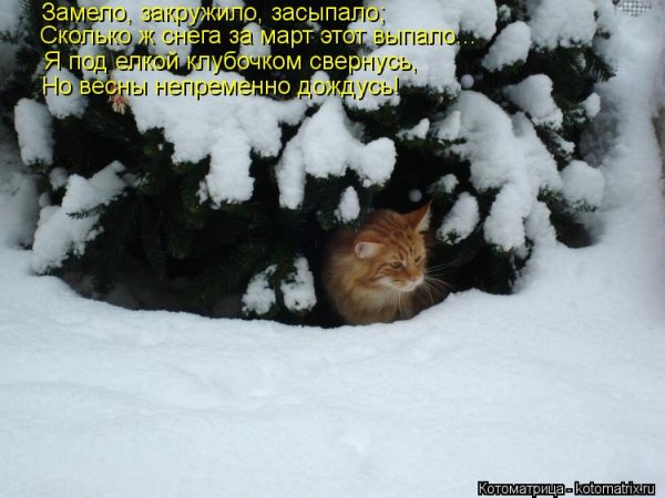 Зиму перезимовали и весну